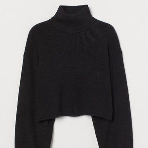 H&M Cropped Turtleneck Sweater
